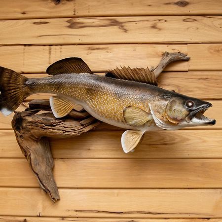 Walleye Inn Baudette Luaran gambar