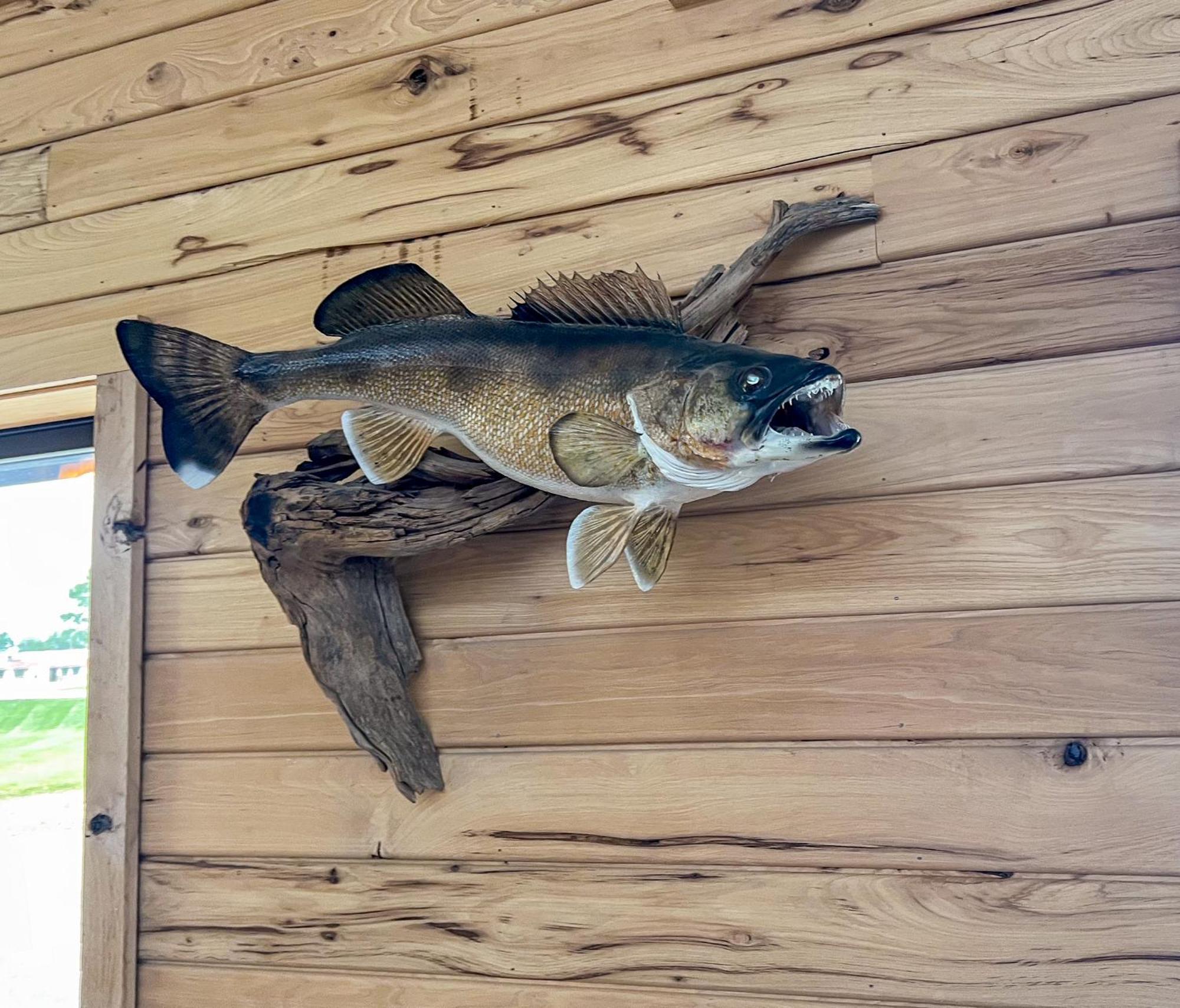 Walleye Inn Baudette Luaran gambar